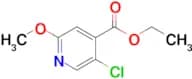 Ethyl 5-chloro-2-methoxypyridine-4-carboxylate