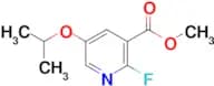 Methyl 2-fluoro-5-isopropoxynicotinate