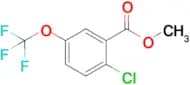 Methyl 2-chloro-5-(trifluoromethoxy)benzoate