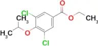 Ethyl 3,5-dichloro-4-propan-2-yloxybenzoate