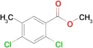 2,4-Dichloro-5-methylbenzoic acid methyl ester
