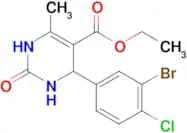 Ethyl 4-(3-bromo-4-chlorophenyl)-6-methyl-2-oxo-1,2,3,4-tetrahydropyrimidine-5-carboxylate