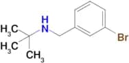 N-(3-bromobenzyl)-N-(tert-butyl)amine