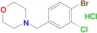 4-[(4-Bromo-3-chlorophenyl)methyl]-morpholine hydrochloride