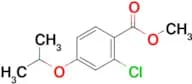 2-Chloro-4-isopropoxybenzoic acid methyl ester