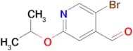 5-Bromo-2-isopropoxyisonicotinaldehyde