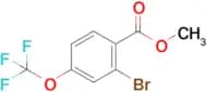 2-Bromo-4-(trifluoromethoxy)benzoic acid methyl ester