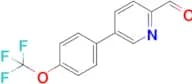 5-(4-(Trifluoromethoxy)phenyl)picolinaldehyde