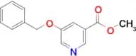 5-Benzyloxynicotinic acid methyl ester