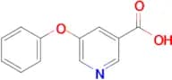 5-Phenoxypyridine-3-carboxylic acid