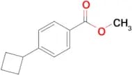 Methyl 4-cyclobutylbenzoate