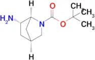 tert-Butyl (1S,4S,6S)-6-amino-2-azabicyclo[2.2.1]heptane-2-carboxylate