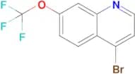 4-Bromo-7-(trifluoromethoxy)quinoline