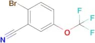 2-Bromo-5-(trifluoromethoxy)benzonitrile