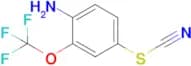 4-Thiocyanato-2-(trifluoromethoxy)aniline
