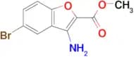 Methyl 3-amino-5-bromo-2-benzofurancarboxylate