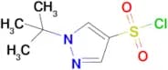 1-tert-Butyl-1h-pyrazole-4-sulfonyl chloride