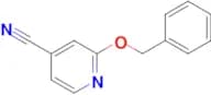 2-(Benzyloxy)pyridine-4-carbonitrile
