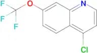 4-Chloro-7-(trifluoromethoxy)quinoline