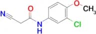 N-(3-Chloro-4-methoxyphenyl)-2-cyanoacetamide