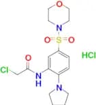 2-Chloro-N-[5-(morpholine-4-sulfonyl)-2-(pyrrolidin-1-yl)phenyl]acetamide hydrochloride