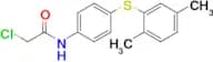 2-Chloro-n-{4-[(2,5-dimethylphenyl)sulfanyl]phenyl}acetamide