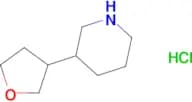 3-(Oxolan-3-yl)piperidine hydrochloride