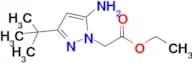 Ethyl 2-(5-amino-3-tert-Butyl-1h-pyrazol-1-yl)acetate