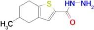 5-Methyl-4,5,6,7-tetrahydro-1-benzothiophene-2-carbohydrazide