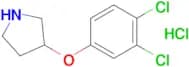 3-(3,4-Dichlorophenoxy)pyrrolidine hydrochloride
