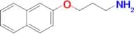 2-(3-Aminopropoxy)naphthalene