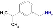 [3-(propan-2-yl)phenyl]methanamine