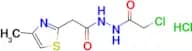 n’-(2-Chloroacetyl)-2-(4-methyl-1,3-thiazol-2-yl)acetohydrazide hydrochloride