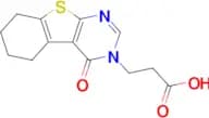 3-{3-oxo-8-thia-4,6-diazatricyclo[7.4.0.0,2,7]trideca-1(9),2(7),5-trien-4-yl}propanoic acid