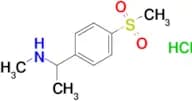 [1-(4-methanesulfonylphenyl)ethyl](methyl)amine hydrochloride