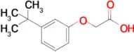 2-(3-Tert-butylphenoxy)acetic acid