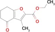 Ethyl 3-methyl-4-oxo-4,5,6,7-tetrahydro-1-benzofuran-2-carboxylate