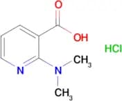2-(Dimethylamino)pyridine-3-carboxylic acid hydrochloride