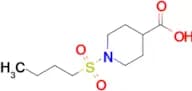 1-(Butane-1-sulfonyl)piperidine-4-carboxylic acid