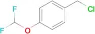 1-(Chloromethyl)-4-(difluoromethoxy)benzene