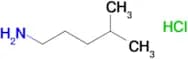 4-Methylpentan-1-amine hydrochloride