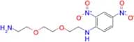 N-(2-(2-(2-Aminoethoxy)ethoxy)ethyl)-2,4-dinitroaniline