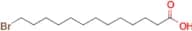 13-Bromotridecanoic acid
