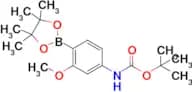tert-Butyl (3-methoxy-4-(4,4,5,5-tetramethyl-1,3,2-dioxaborolan-2-yl)phenyl)carbamate