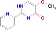 5-methoxy-2-(pyridin-2-yl)-1,4-dihydropyrimidin-4-one