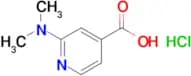 2-(Dimethylamino)pyridine-4-carboxylic acid hydrochloride