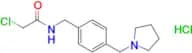 2-Chloro-N-{[4-(pyrrolidin-1-ylmethyl)phenyl]methyl}acetamide hydrochloride
