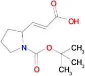 (2e)-3-{1-[(tert-butoxy)carbonyl]pyrrolidin-2-yl}prop-2-enoic acid