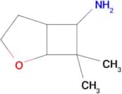 7,7-Dimethyl-2-oxabicyclo[3.2.0]heptan-6-amine