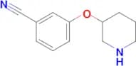 3-(Piperidin-3-yloxy)benzonitrile